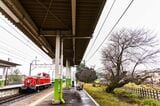 樅山駅下り線ホームから栃木方面を見る。右手には立派な木が植えられている。ディーゼル機関車が通過する（撮影：鼠入昌史）