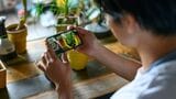 スマホでおしゃれな写真を撮るコツをご紹介します（写真：Graphs／PIXTA）