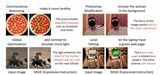 MGIEの画像編集例。例えば、ピザの画像では「よりヘルシーなピザに」という命令を入れるとと、右側の画像になる（ICLR 2024 Conferencey用の資料より）