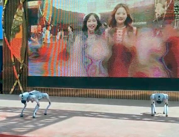 ロボット犬