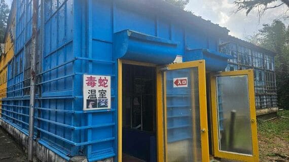毒蛇温室