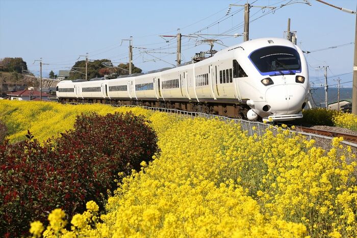 白い流線形ボディが特徴のJR九州885系