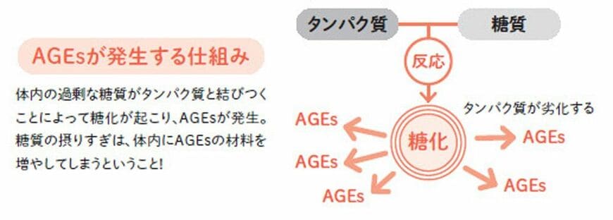 AGEsが発生する仕組み