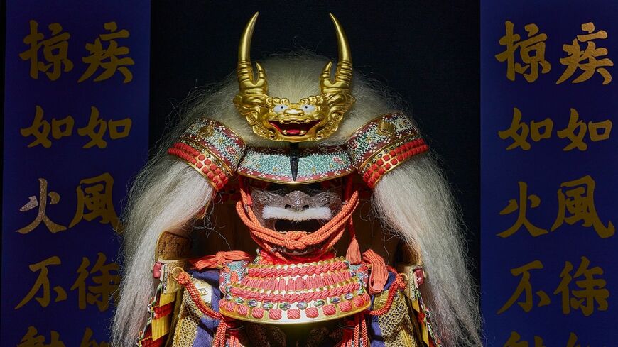 武田信玄の甲冑（写真： 清十郎 / PIXTA）