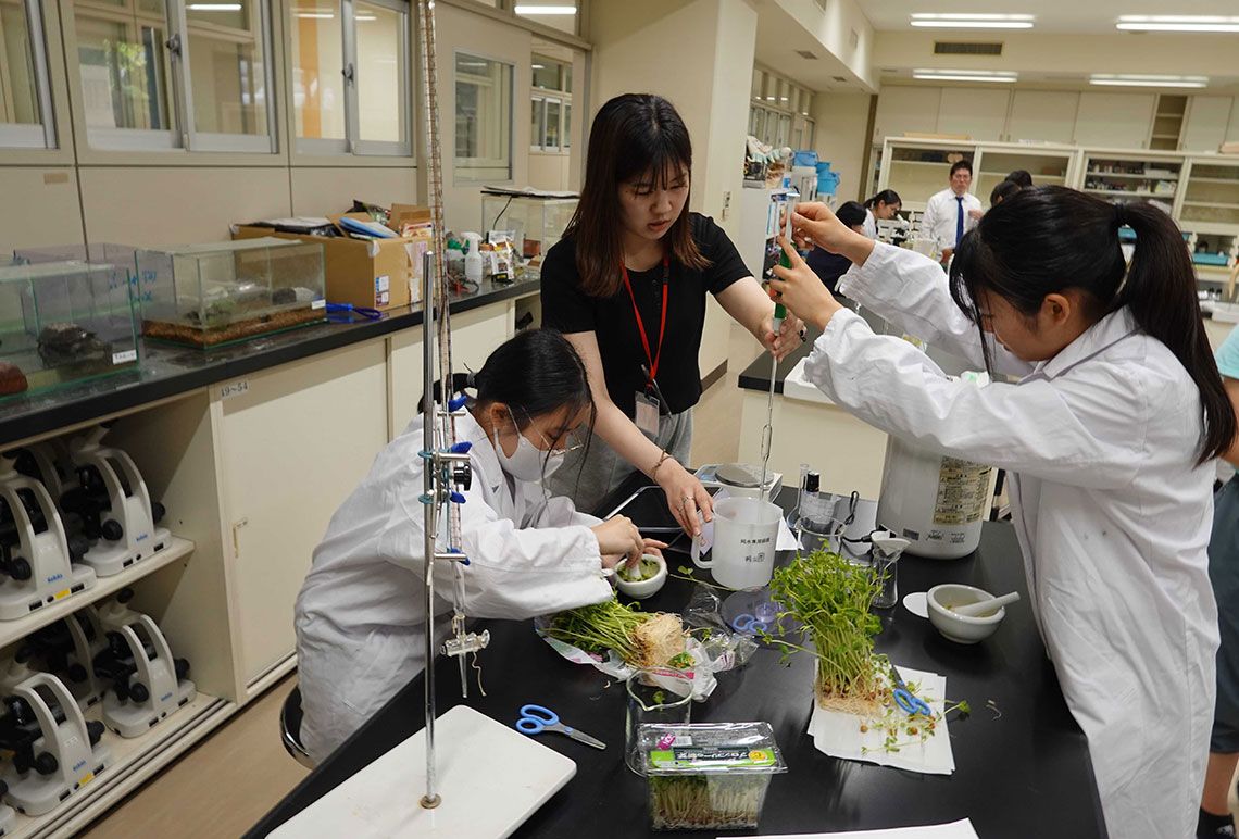 豊島岡女子学園の真価｜東大・医学部実績と完全中高一貫化の全貌