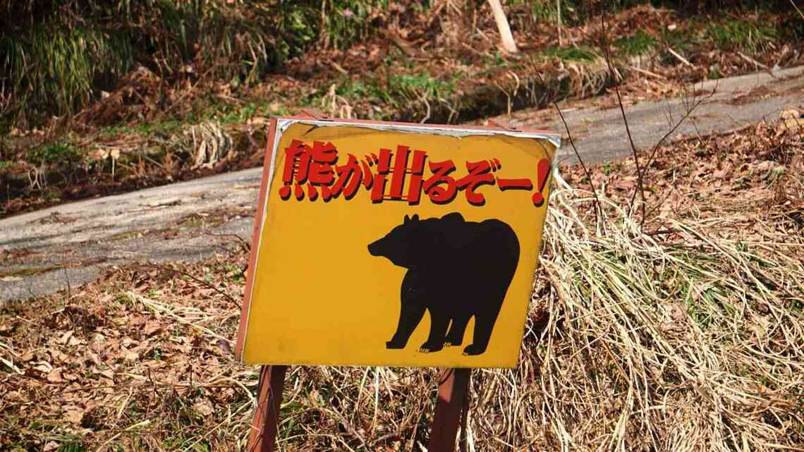 クマの被害が相次いで起きており、その範囲も拡大しつつある(写真:EFA36/PIXTA)