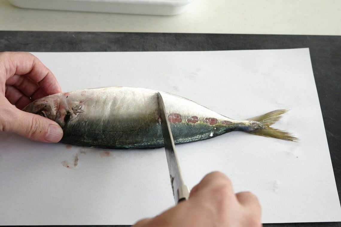 アジのうろこを除去