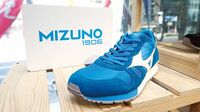 国内と野球に執着 時代遅れの名門ミズノ ランニングブームに乗れず。衣料や海外展開が停滞