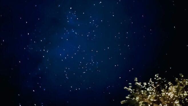 秋の夜長に挑戦｢星空｣をiPhoneで綺麗に撮るコツ