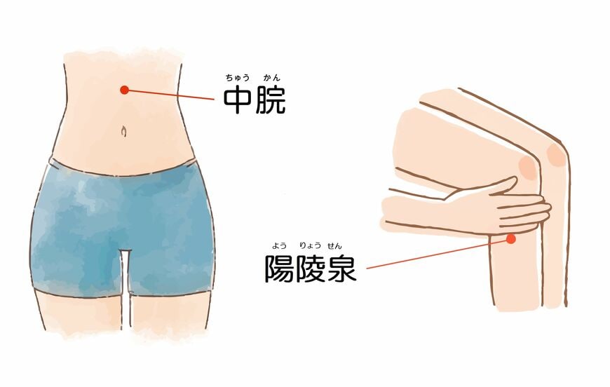 中脘と陽陵泉のツボの位置 （イラスト：中脘 ナミッコ／PIXTA、陽陵泉 にしやひさ／PIXTA）
