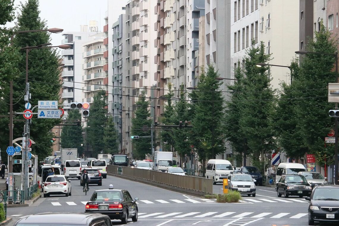 本郷通りと豊島区・文京区の境