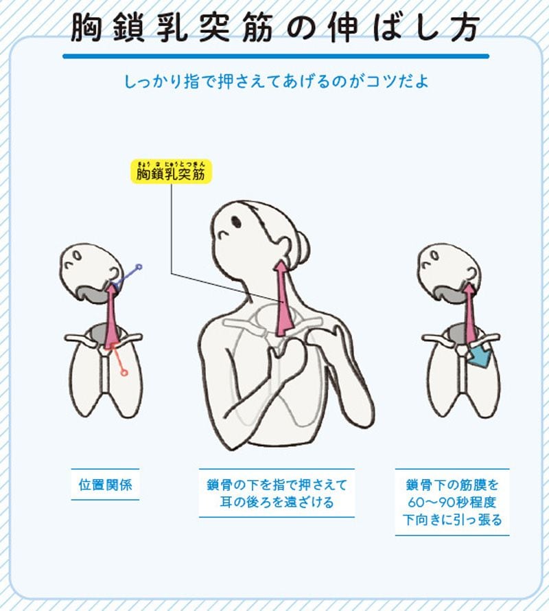 （画像：『世界一わかりやすい 筋肉のつながり図鑑セルフケア編』より）