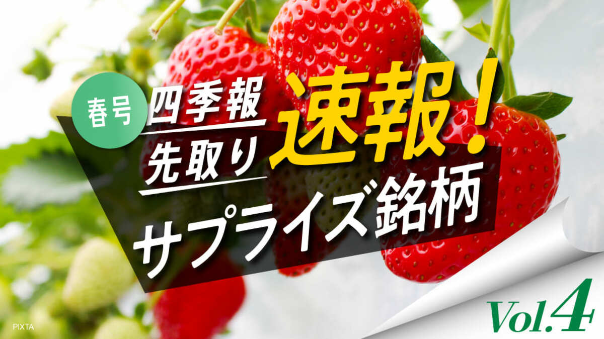 サプライズ④ DOE（株主資本配当率）の高い独自増額5銘柄｜会社四季報 