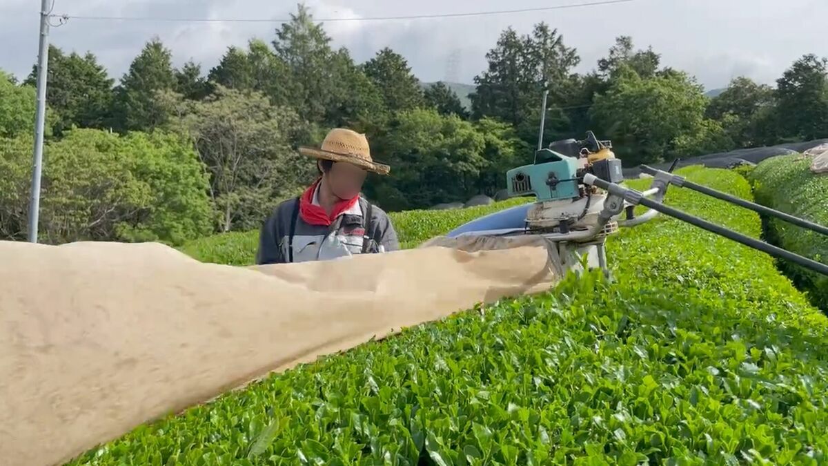 53歳"3児の父"を襲った｢産後うつ｣と｢中年の危機｣ | アラフィフでパパになったら | 東洋経済オンライン