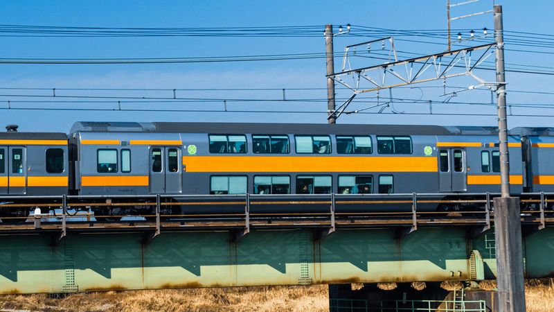 首都圏特急・グリーン車｢コスパがいい｣のはどれ? 同じ料金でも意外に