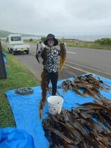 利尻昆布を求めて北海道北部の礼文島へ（写真提供：鈴木かゆさん）