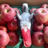 （写真提供：カマタさん）