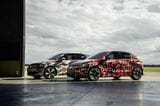 フォルクスワーゲン ID.ポロ、ID.ポロGTI（写真：Volkswagen）
