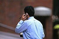 吹かぬ追い風　政権復帰への自信と不安 落選、新人候補の今