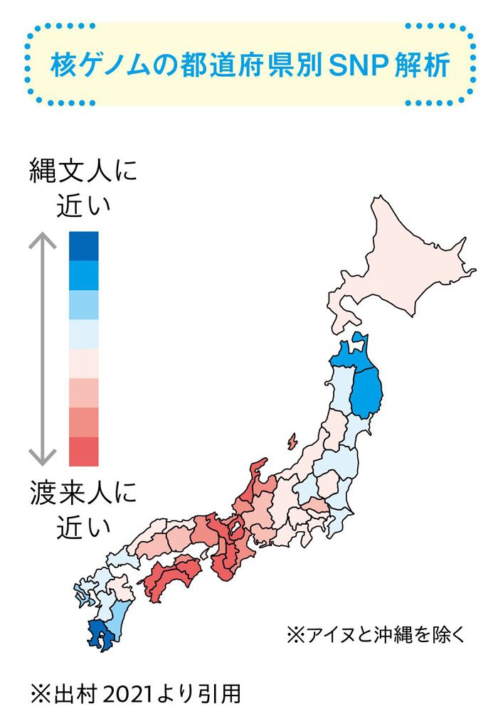 画像 | 縄文人と弥生人で分けられない｢日本人のルーツ｣ 祖先はいつ