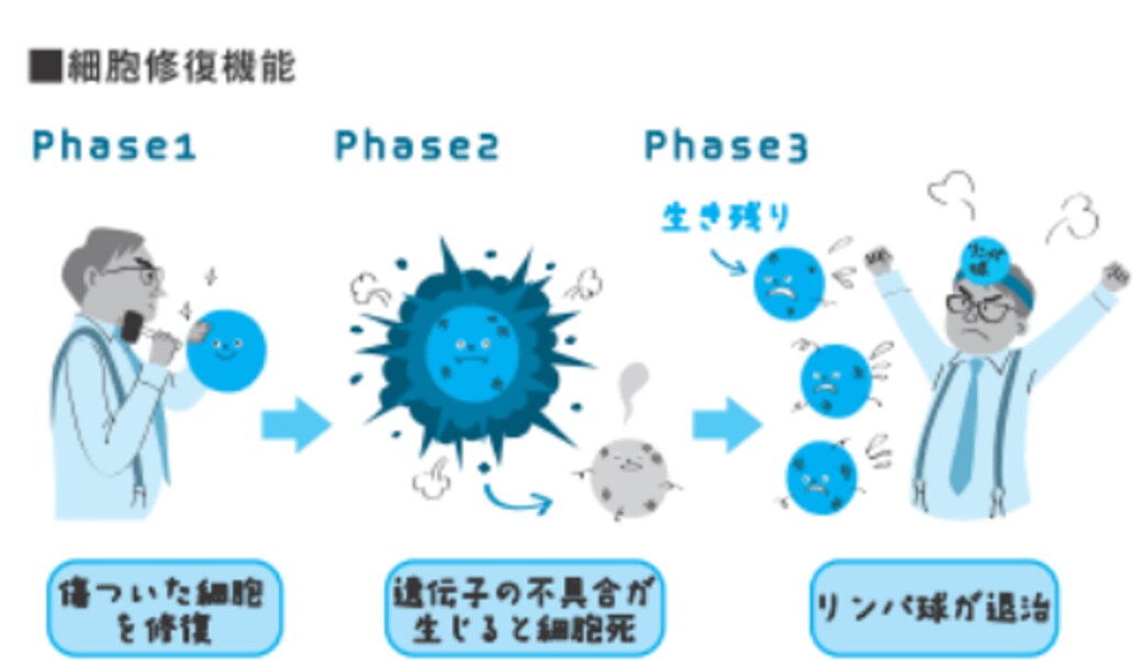 がん予防には 仕組みと原因の理解 が大切だ 健康 東洋経済オンライン 社会をよくする経済ニュース