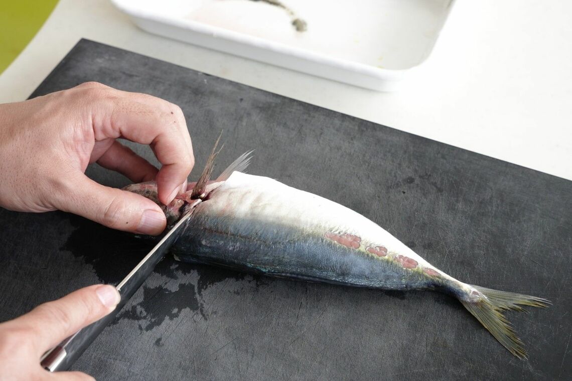 タスキにきったアジ