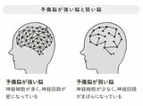 （出所：『こうして脳は老いていく』より）