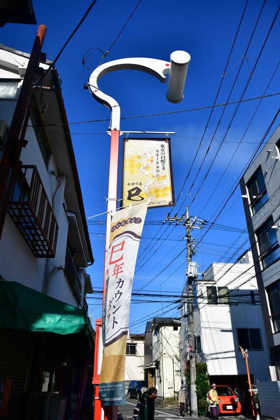 蛇窪神社近くにある白蛇をかたどった御当地街灯