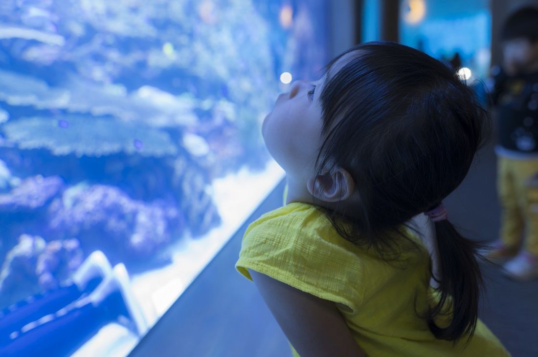 写真はイメージです（写真：kai／PIXTA）