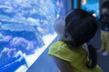 写真はイメージです（写真：kai／PIXTA）