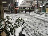 雪景色の神泉駅と踏切（撮影：南正時）