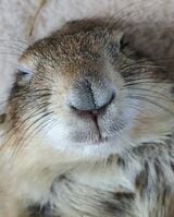 （写真：まる子さん提供）