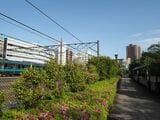 駅付近の線路西側には緑地や公園が広がる（記者撮影）