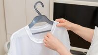 洋服の｢カレー染み｣キレイに消す洗濯の"ガチ技" やってはダメ｢漂白剤で最初に付け置き｣の理由