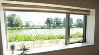 住まいに｢緑｣を取り入れたい人が増える背景
