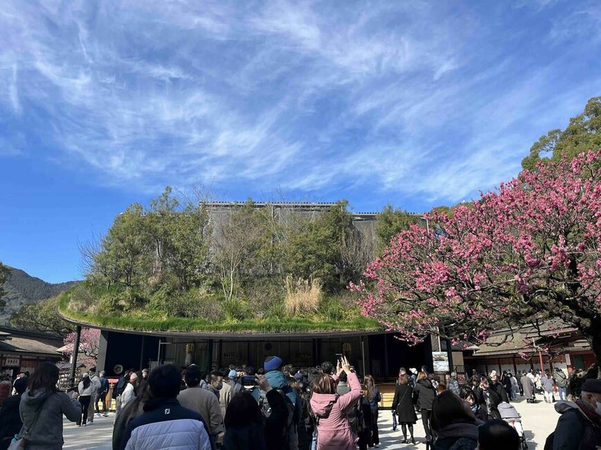 いつ来ても人が多い太宰府天満宮。本殿を改修中のため、現在は「仮殿」が建てられている（写真：筆者撮影）