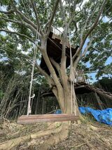 福岡市の離島に設えた「無人島のツリーハウス」。一般を対象とした宿泊プランも企画中とのことだ（写真：悟空のきもち THE LABO）