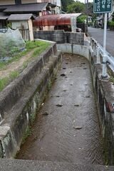 同じ水路の通常の状態（撮影：河野博子）