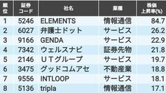 四季報24年夏号の｢先取りグロース100｣株価上昇率TOP10
