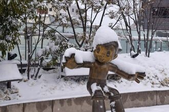 中古戸建て購入した42歳語る｢大泉学園｣という街