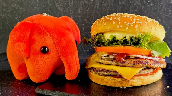 ドムドムバーガー