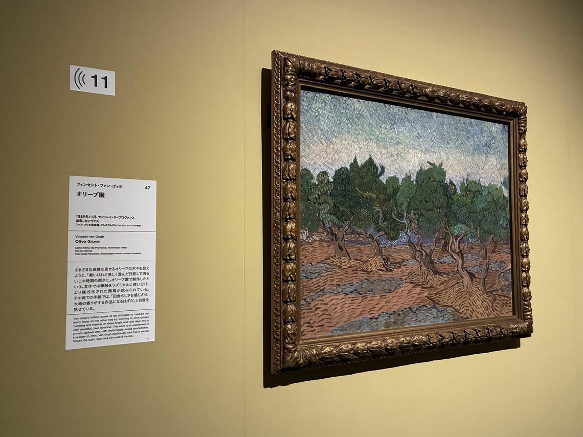 療養のためサン=レミに滞在していた1889年の秋、ゴッホが最も情熱を注いだテーマはオリーブ園だったフィンセント・ファン・ゴッホ《オリーブ園》1889年11月、油彩・カンヴァス、73.2×92.2cm、ファン・ゴッホ美術館（アムステルダム）（フィンセント・ファン・ゴッホ財団） 出品：「ゴッホ展 家族がつないだ画家の夢」東京都美術館