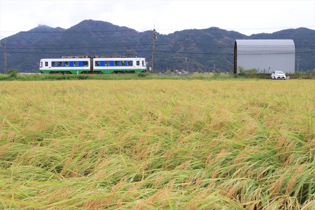 田園地帯を行く770形（撮影：南正時）