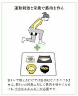 （出所：『筋肉をつけて脂肪を減らす やせるしくみ化』より）