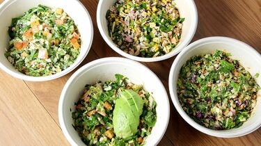 高品質！特大サイズ　イングリッシュ・サラブレッド　頭骨 彩り華やかサラダ | 商品をさがす | サラダクラブ