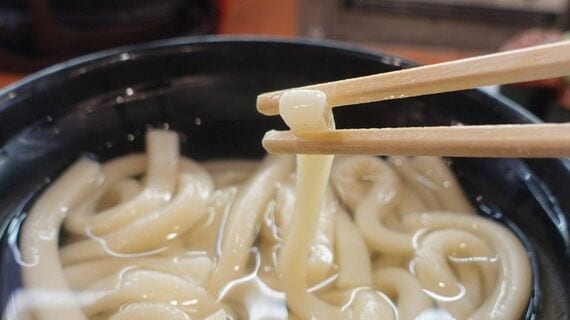 【讃岐】釜揚げうどん 断面