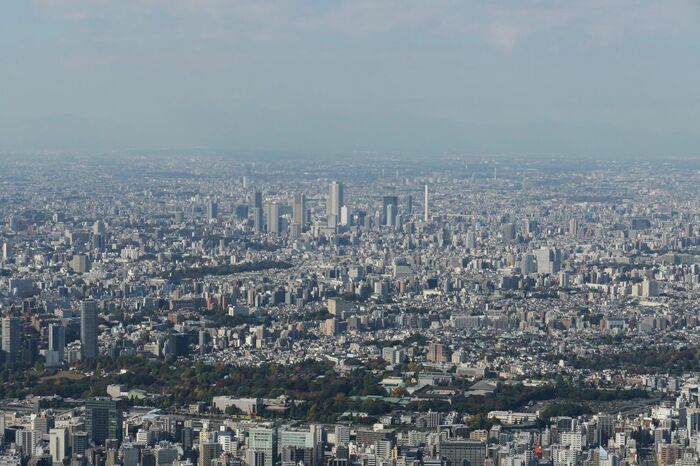 スカイツリーから見た池袋