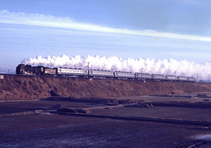 山陰本線を走るD51牽引の団体臨時列車
