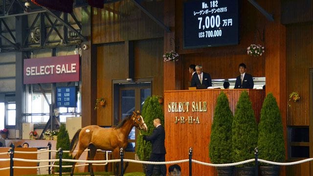 日本競馬界を席巻する社台グループの実像 日本のサラブレッドの約6分の