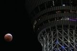 月食と東京スカイツリー